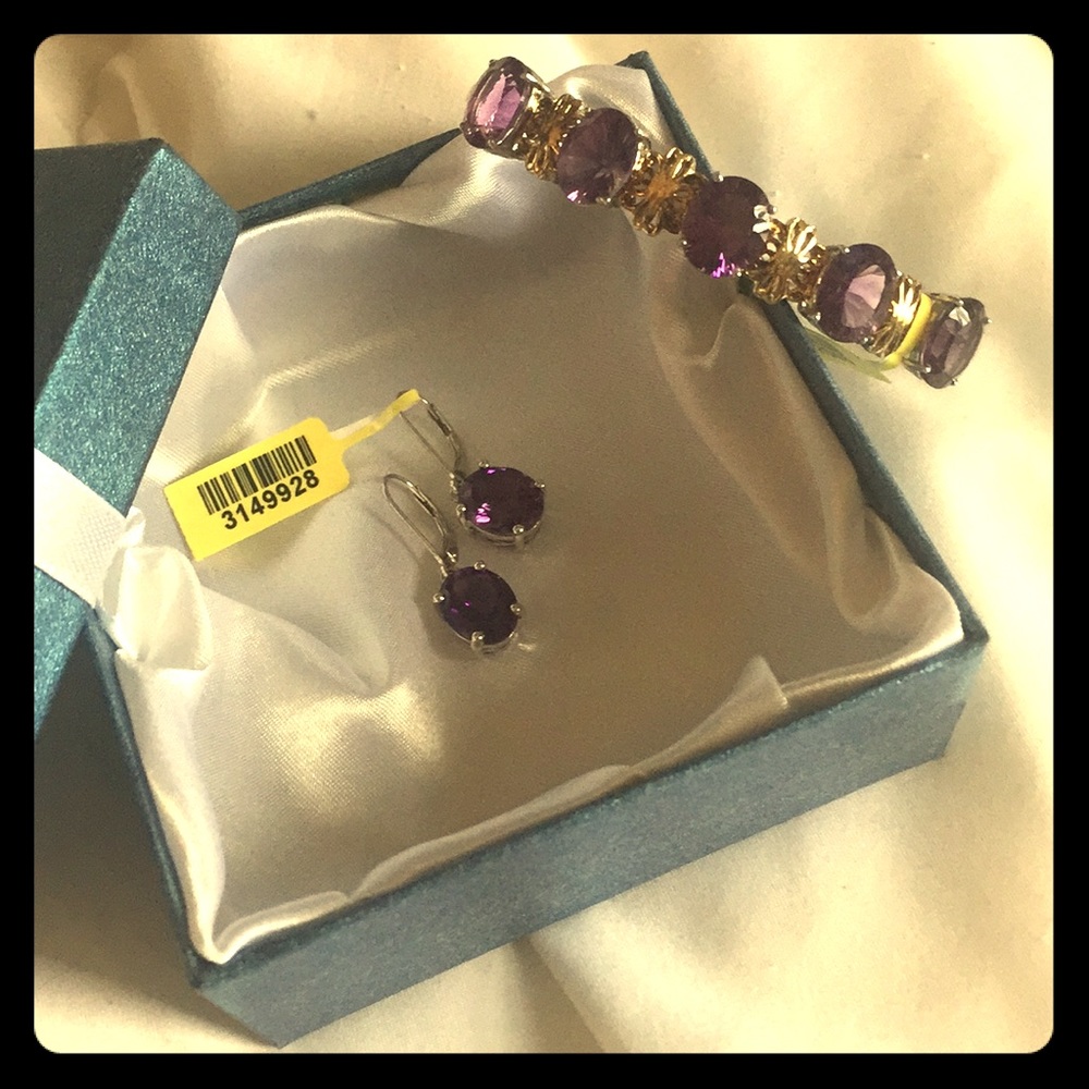 NWT..A beautiful bracelet and earrings set